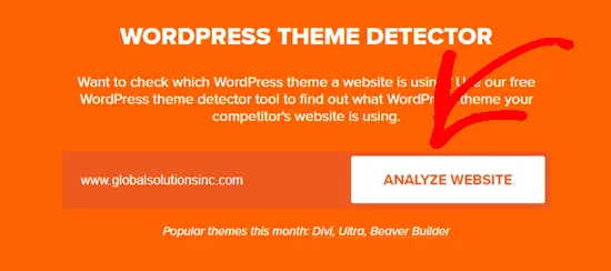 wordpress theme detector analyze website