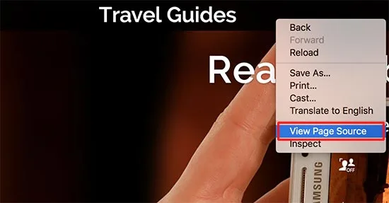 viewpagesource1
