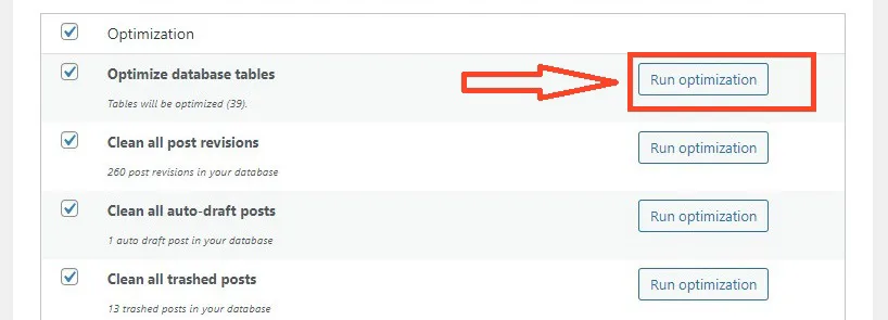WP Optimize run