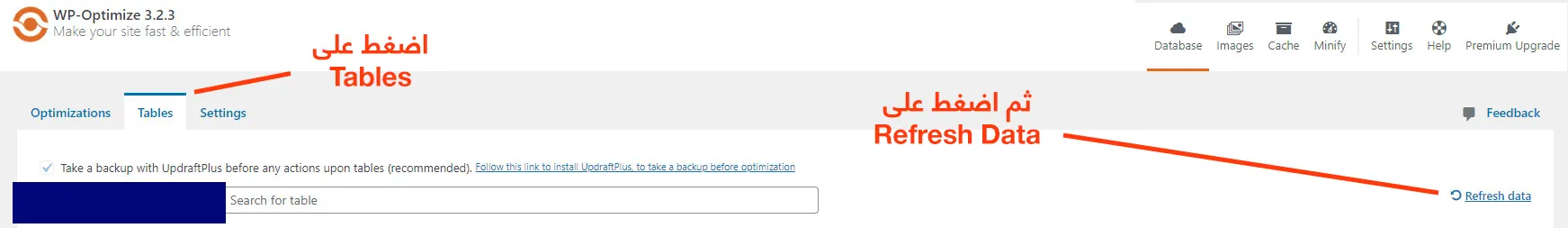 wp optimize tables data