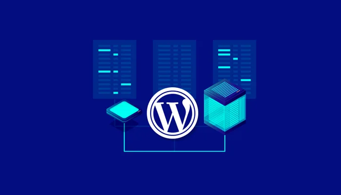 ما هي استضافة المواقع (Web Hosting) وما هي أنواعها؟